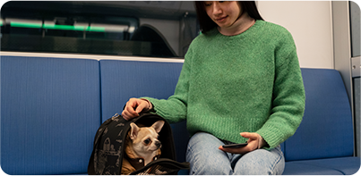 woman-carrying-her-pet-subway